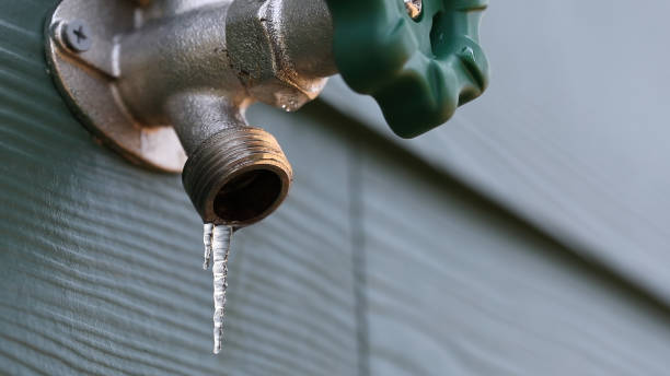 Best Shower Repair Services  in Tunica, MS